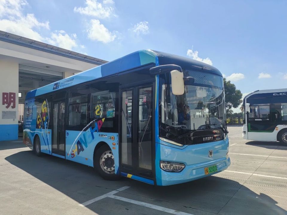 pages, https pages, https